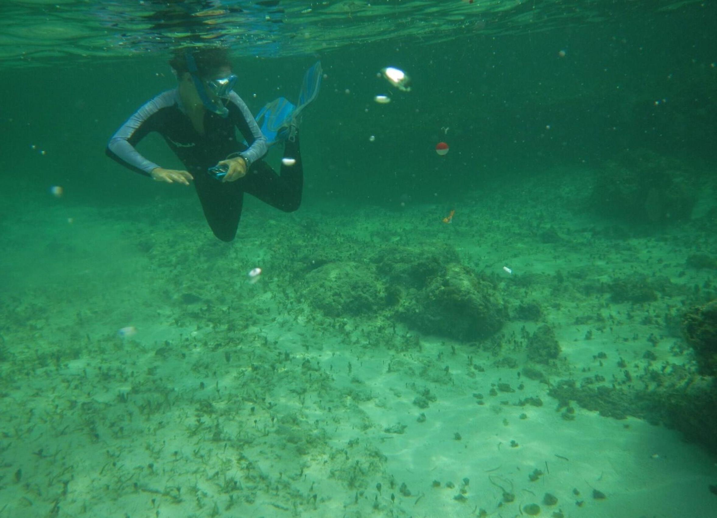 A student swims under the surface of the water with a snorkle in the Bahamas